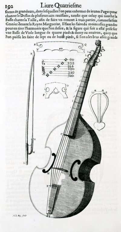 Viola, 1636 von Unbekannt Unbekannt